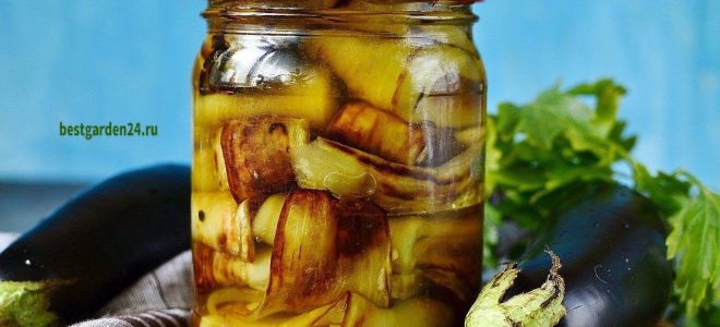Баклажаны с медом