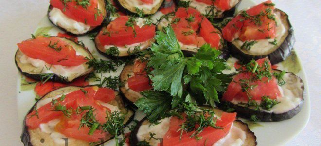 Баклажаны обжаренные кружочками без масла